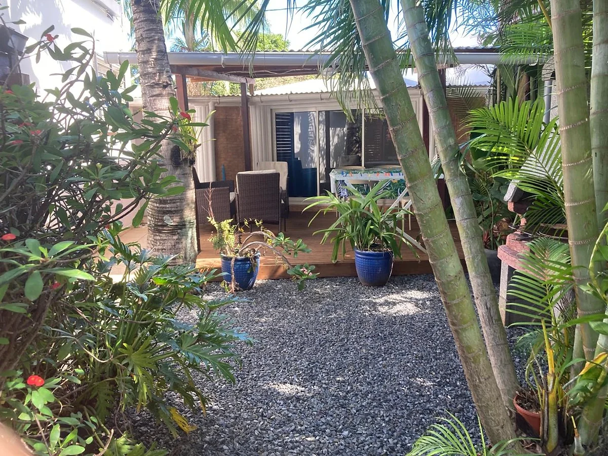 Le jardin tropical du domaine, ses palmiers et ses plantes en pots