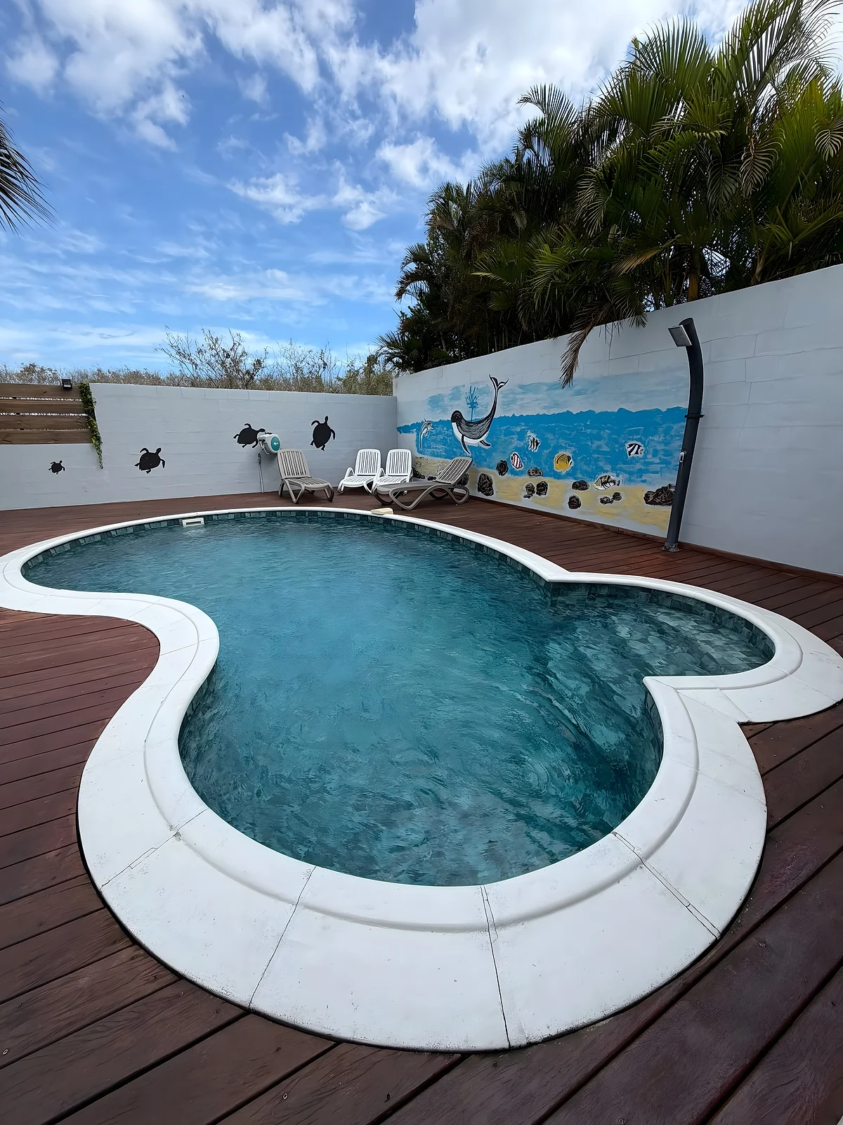 La piscine de la villa et la fresque marine peinte sur le mur du jardin