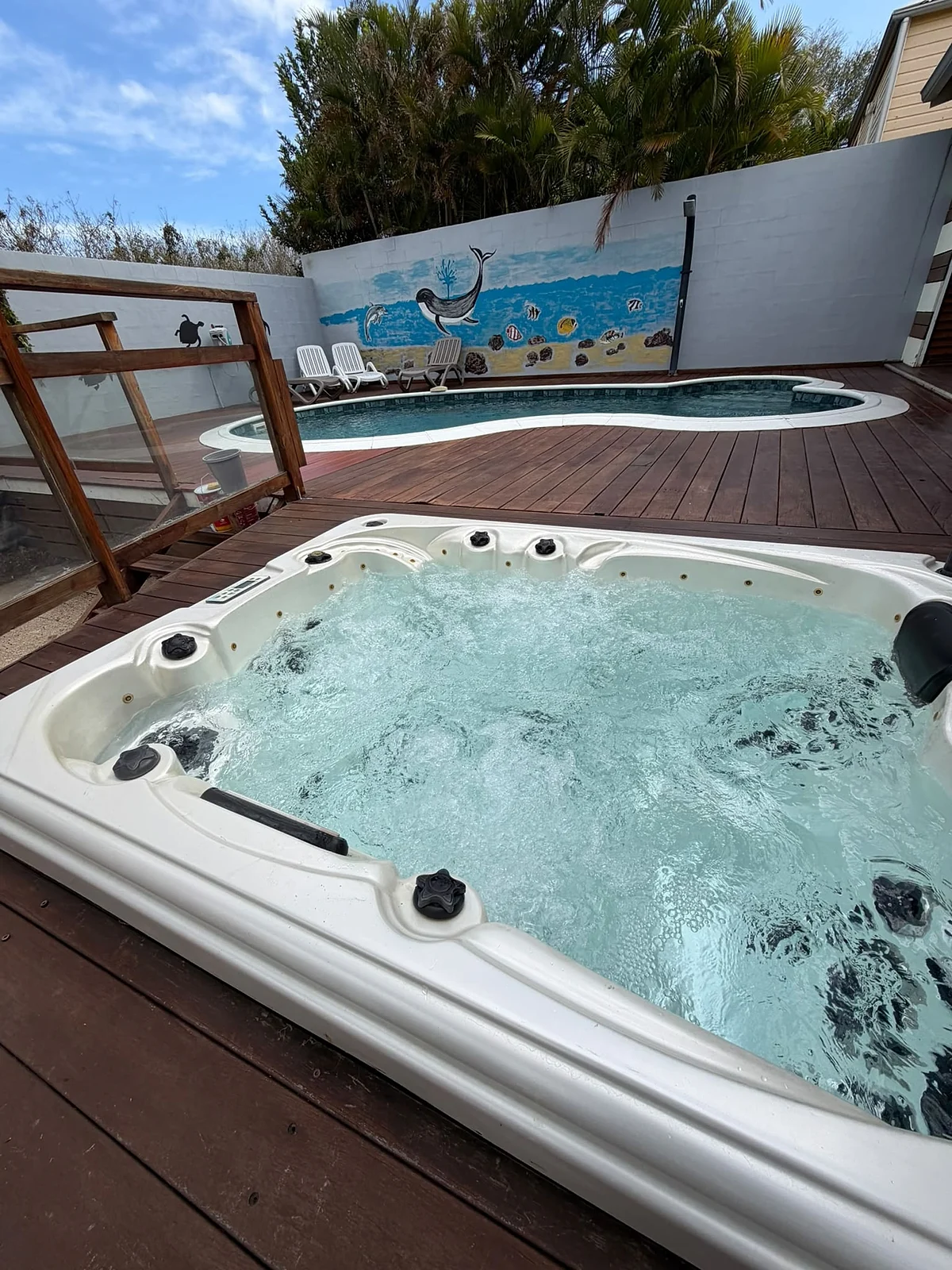 Le spa sur la terrasse en bois, devant la piscine et la fresque marine